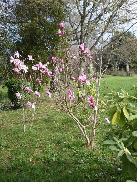 Bed and Breakfast Domaine De Gaudon Ceilloux Exterior foto